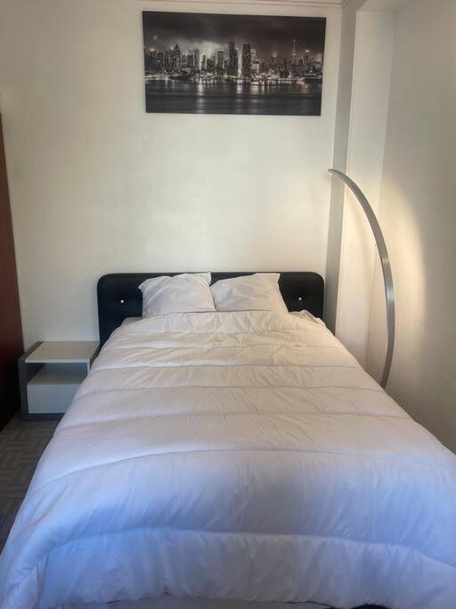 Appartement Croix Rousse 69004 리옹 외부 사진