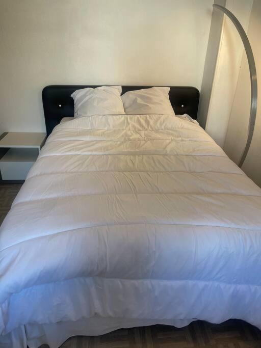 Appartement Croix Rousse 69004 리옹 외부 사진